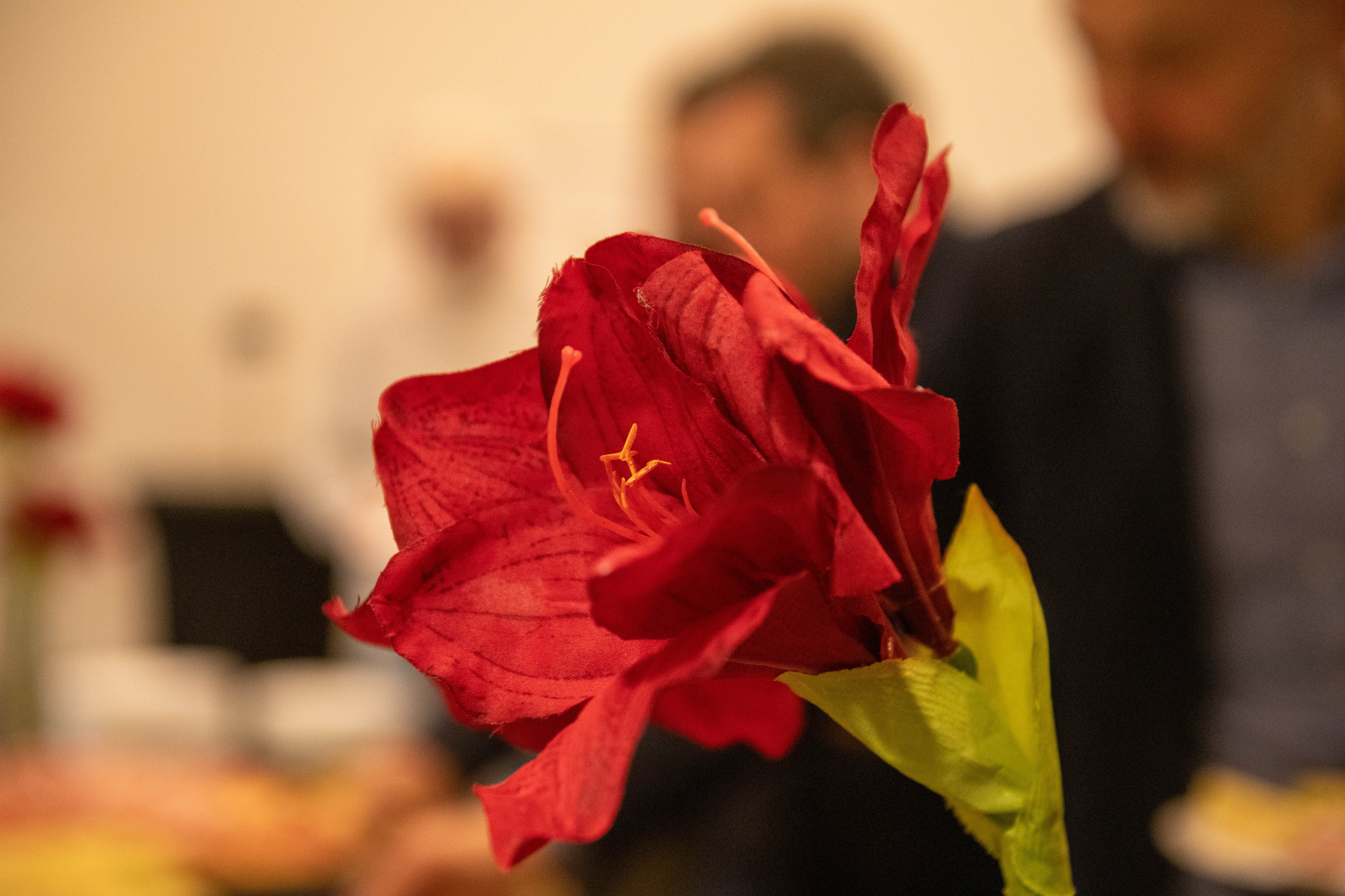 ASSEMBLEA GENERALE ORDINARIA SUPSIALUMNI 2026