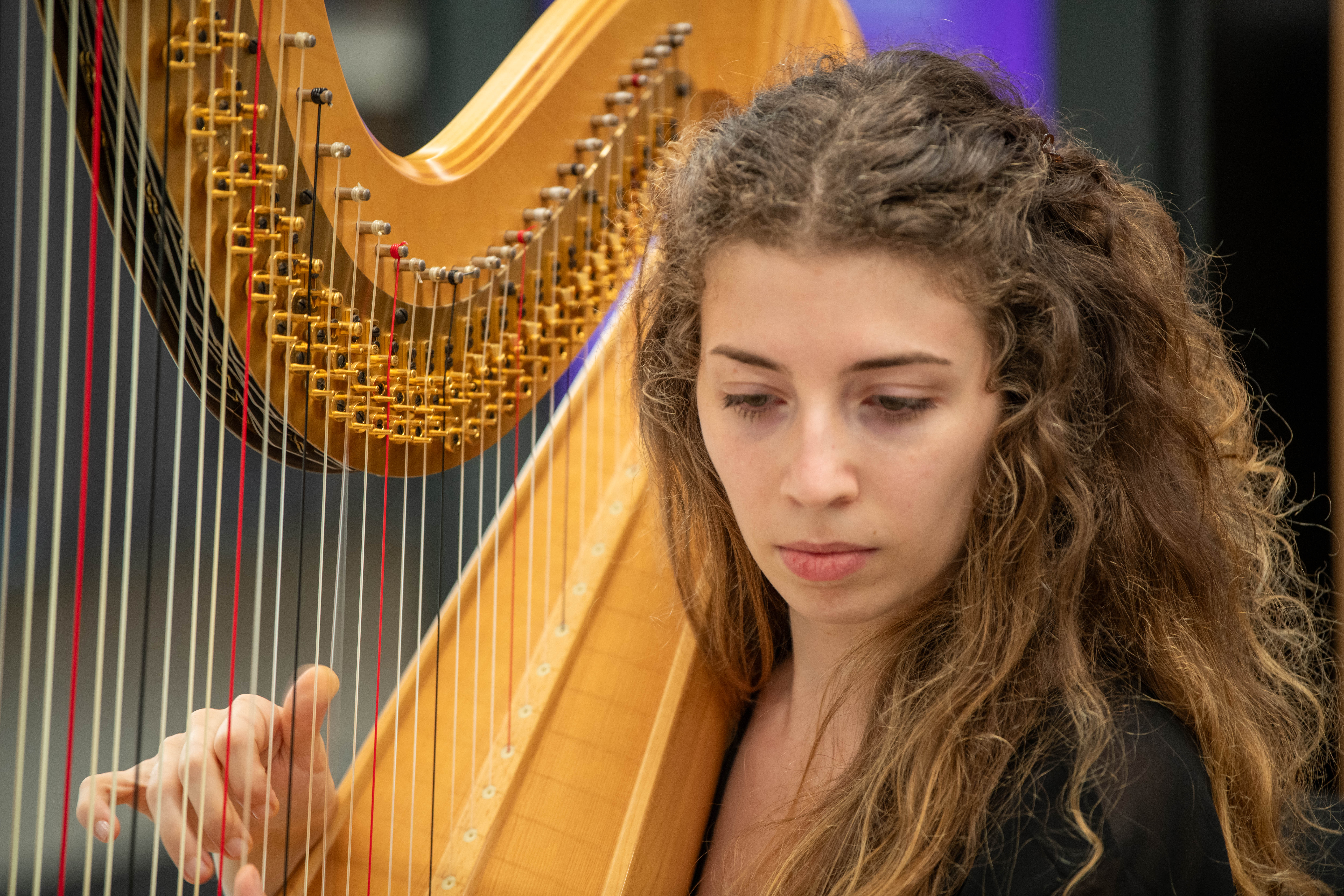 Impressioni sull'evento "SUPSIAlumni DAY 2025"